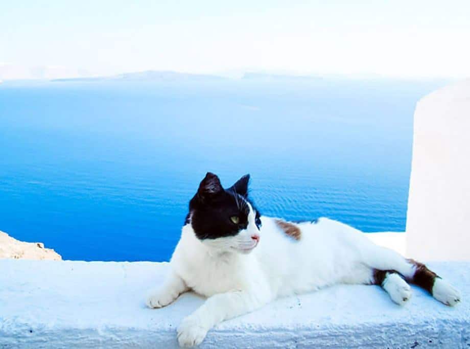 Το Καλοκαίρι στη Σαντορίνη Το Καλοκαίρι στη Σαντορίνη