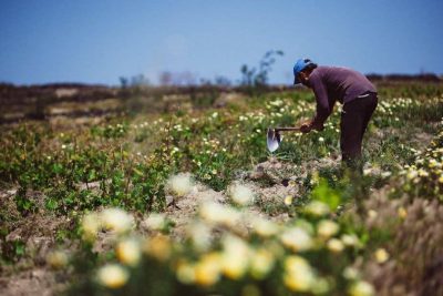 OinopoieioHatzidaki1