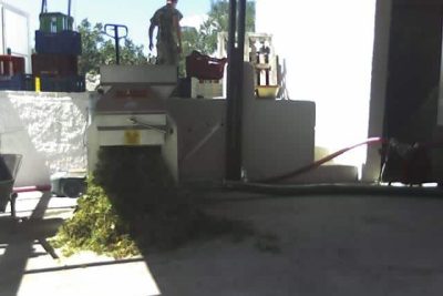 The family is engaged in the vinification of varieties grown in Santorini since the late 19th century.