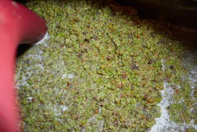 Artemis Karamolegos Winery